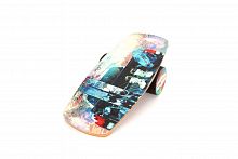 ������ ���� "Pro Balance" Freeride Tour
