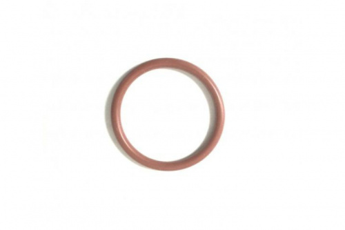 Кольцо уплотнительное крышки ГБЦ малое 420430782 Кольцо уплотнительное крышки ГБЦ малое 420430782