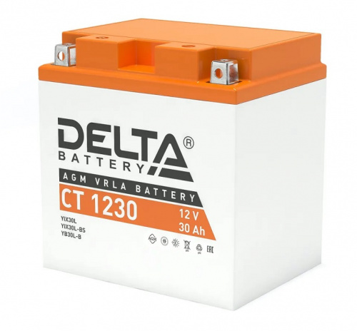 Аккумуляторная батарея Delta CT 1230 фото 3 Аккумуляторная батарея Delta CT 1230 фото 3