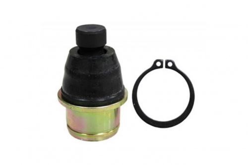 ������� ����� ������ Can-Am G2